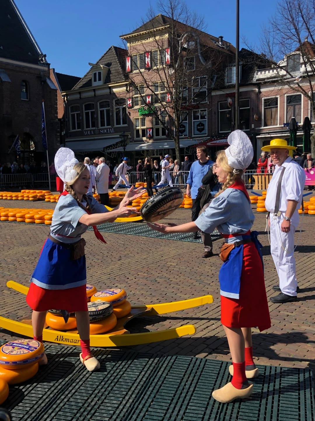 Cheese market in Alkmaar
