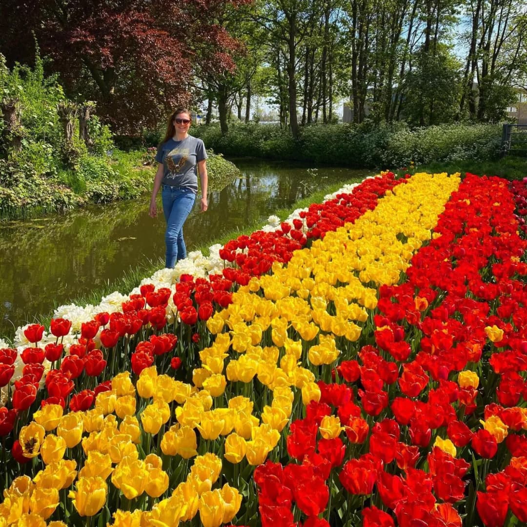 Picture of the tulip picking garden in Venhuizen