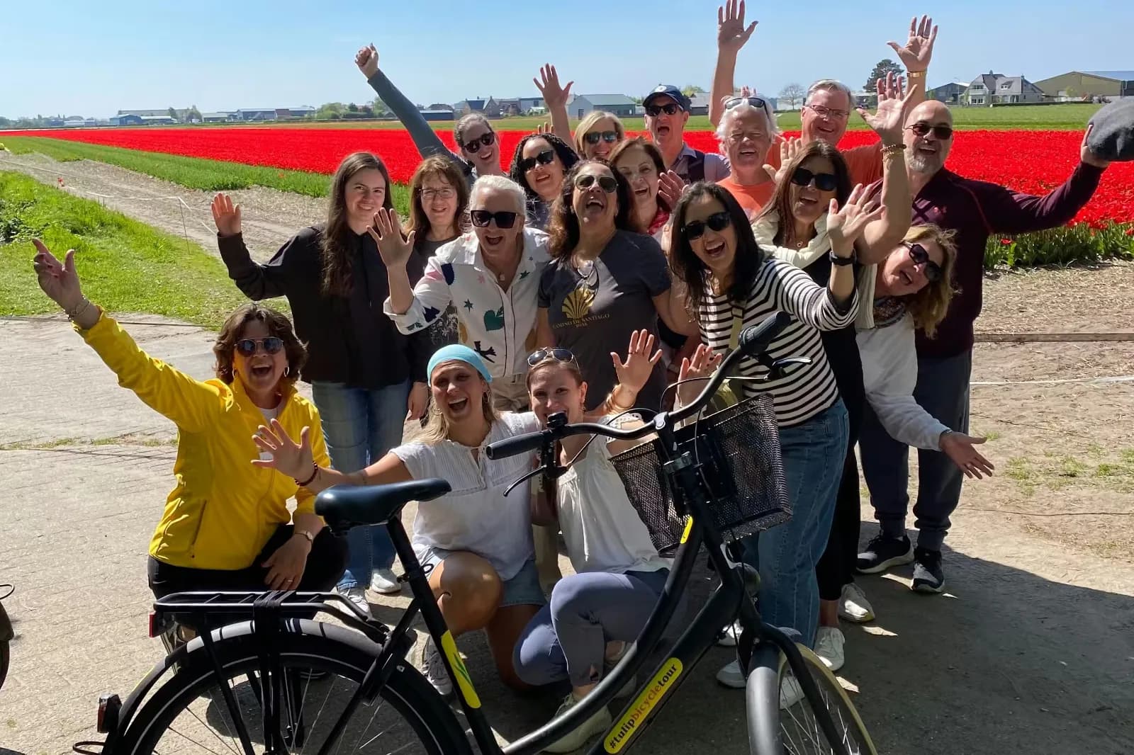 Cyclists riding through tulip fields