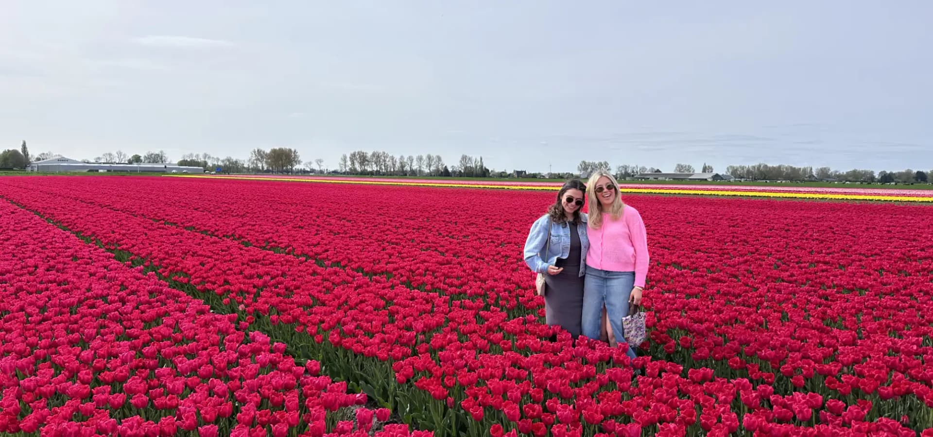 Visitors enjoying the tulip fields at peak bloom in late April