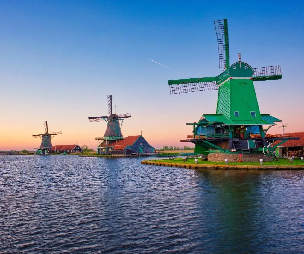 Historic Dutch windmill with tulips