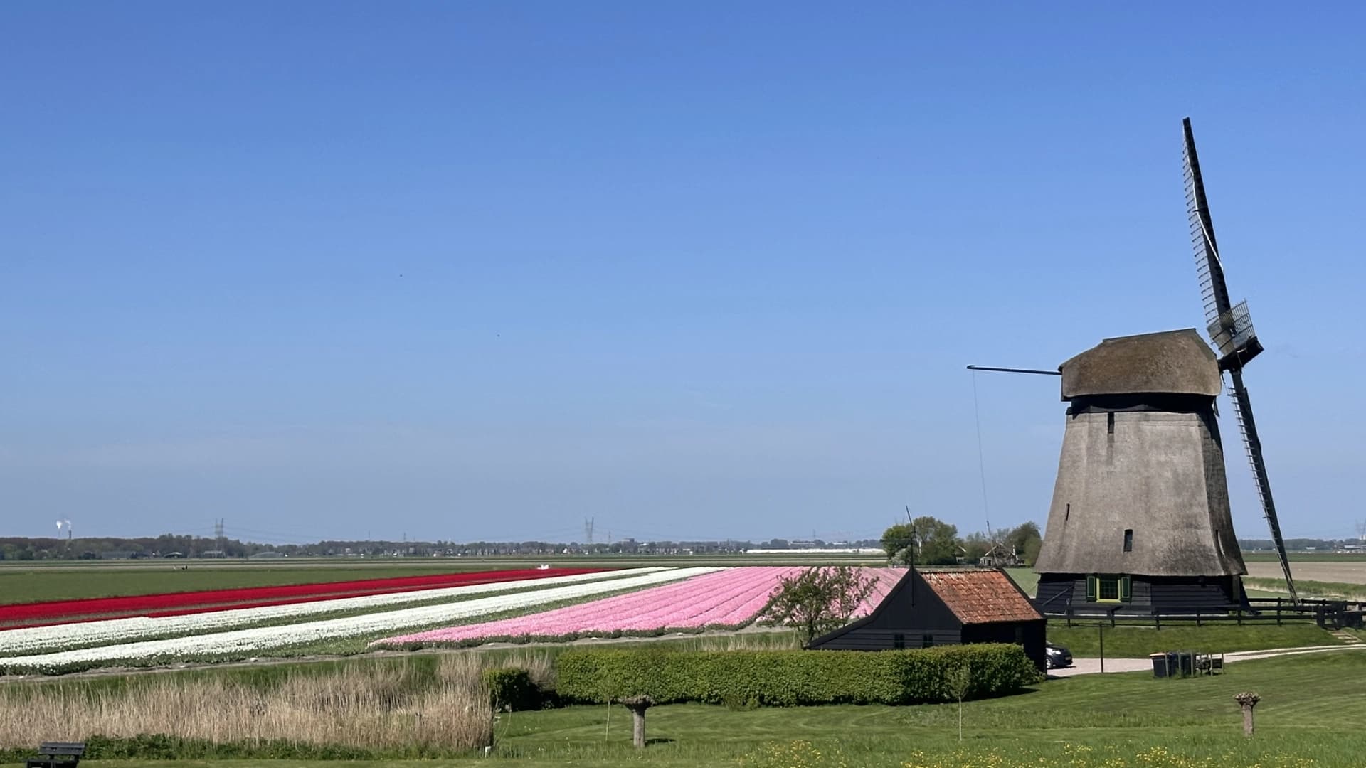 Discover the Netherlands with Tulip Tours Holland