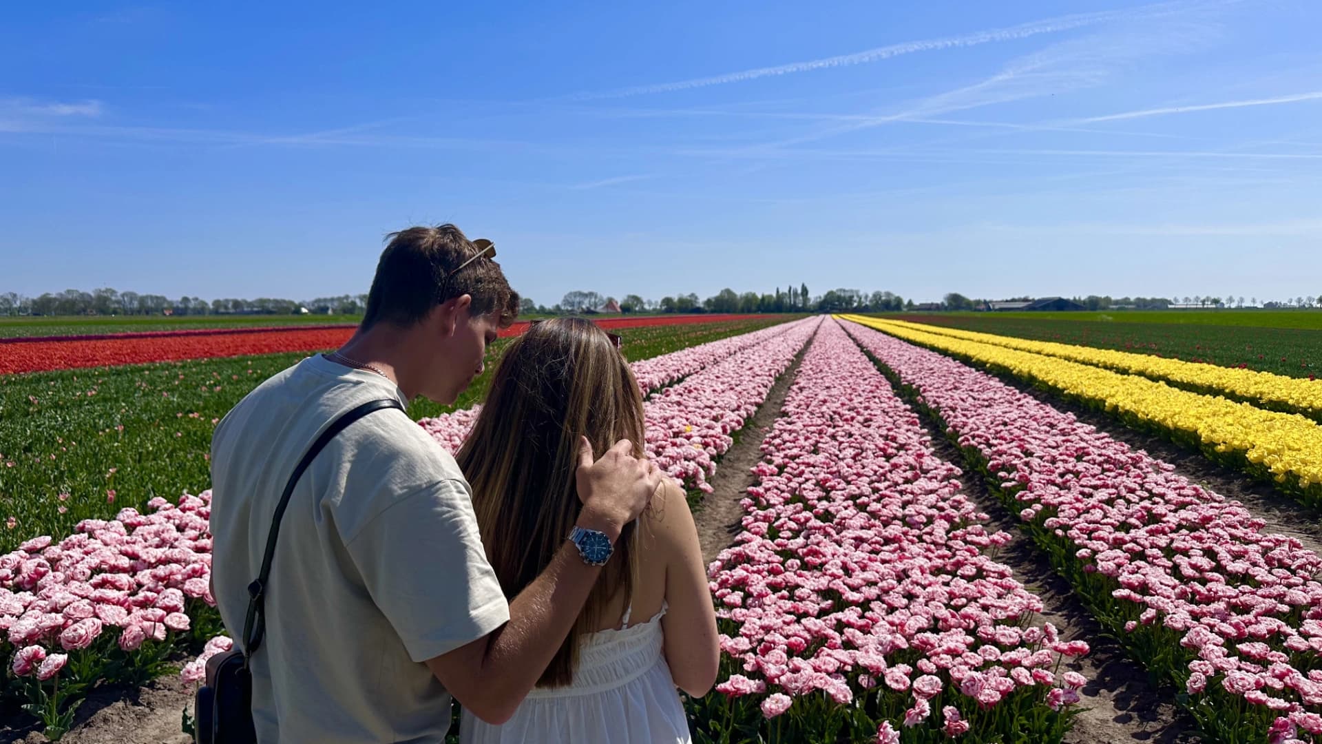 Discover the Netherlands with Tulip Tours Holland