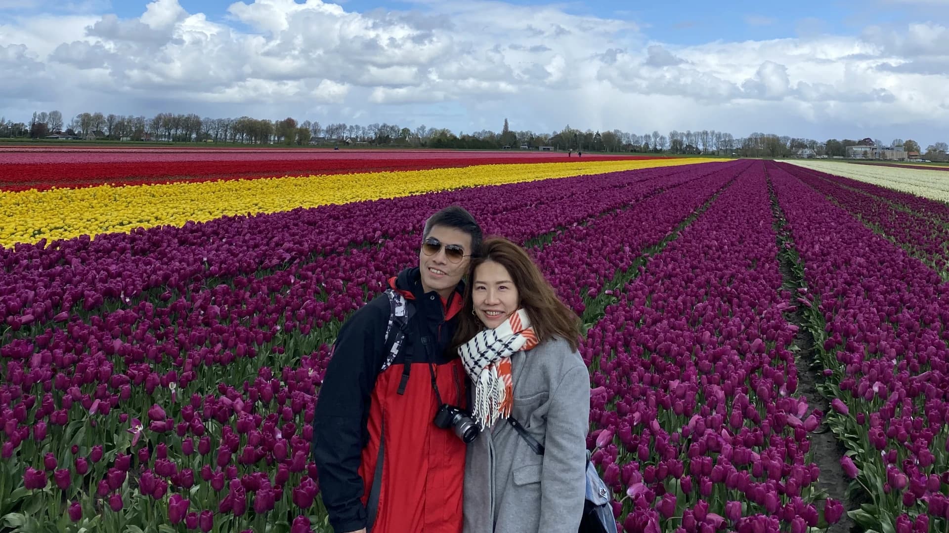Discover the Netherlands with Tulip Tours Holland