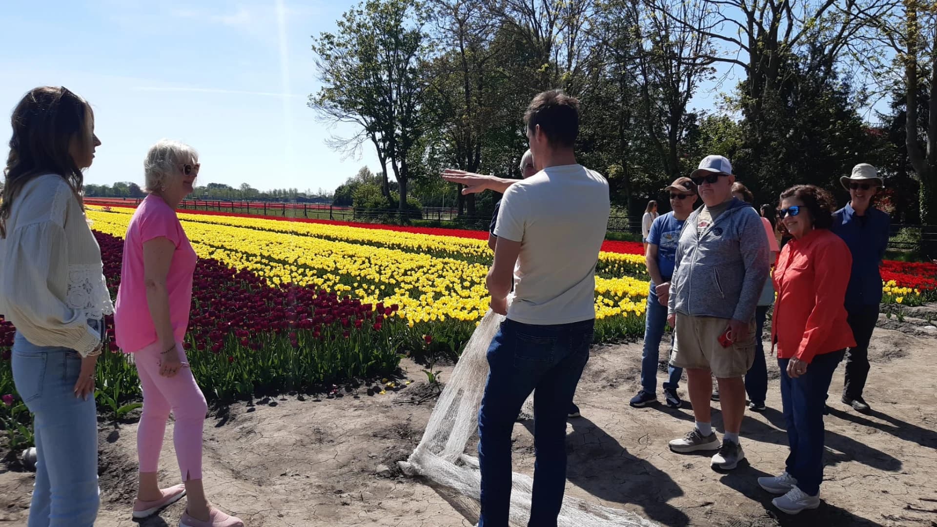 Discover the Netherlands with Tulip Tours Holland