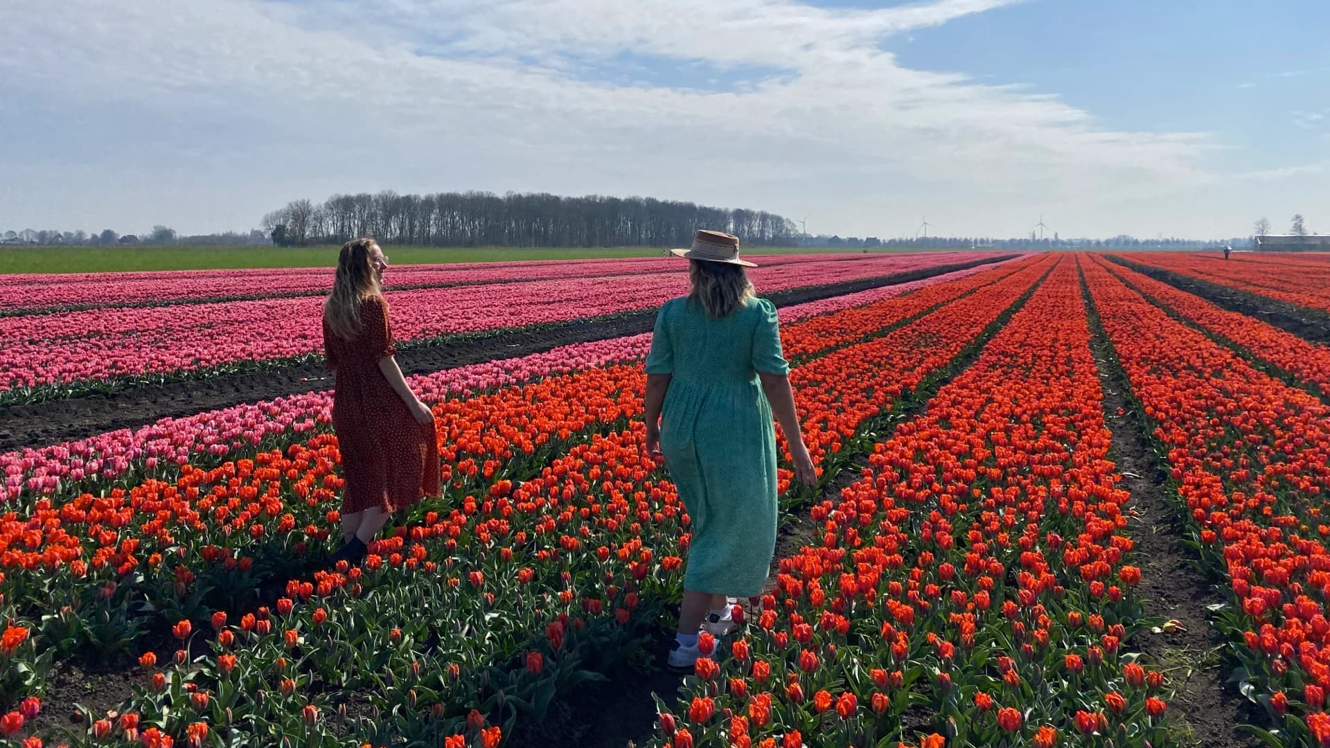 Visitors walking through the Tulip Experience Amsterdam show garden