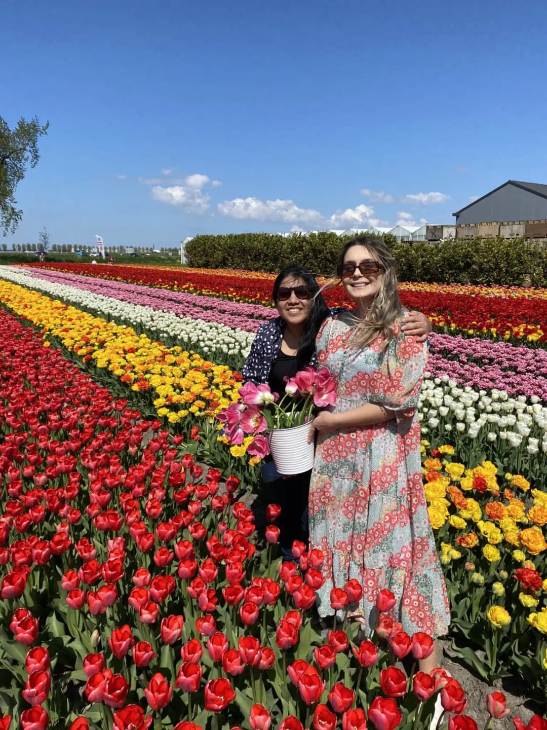 Women in a tulip field
