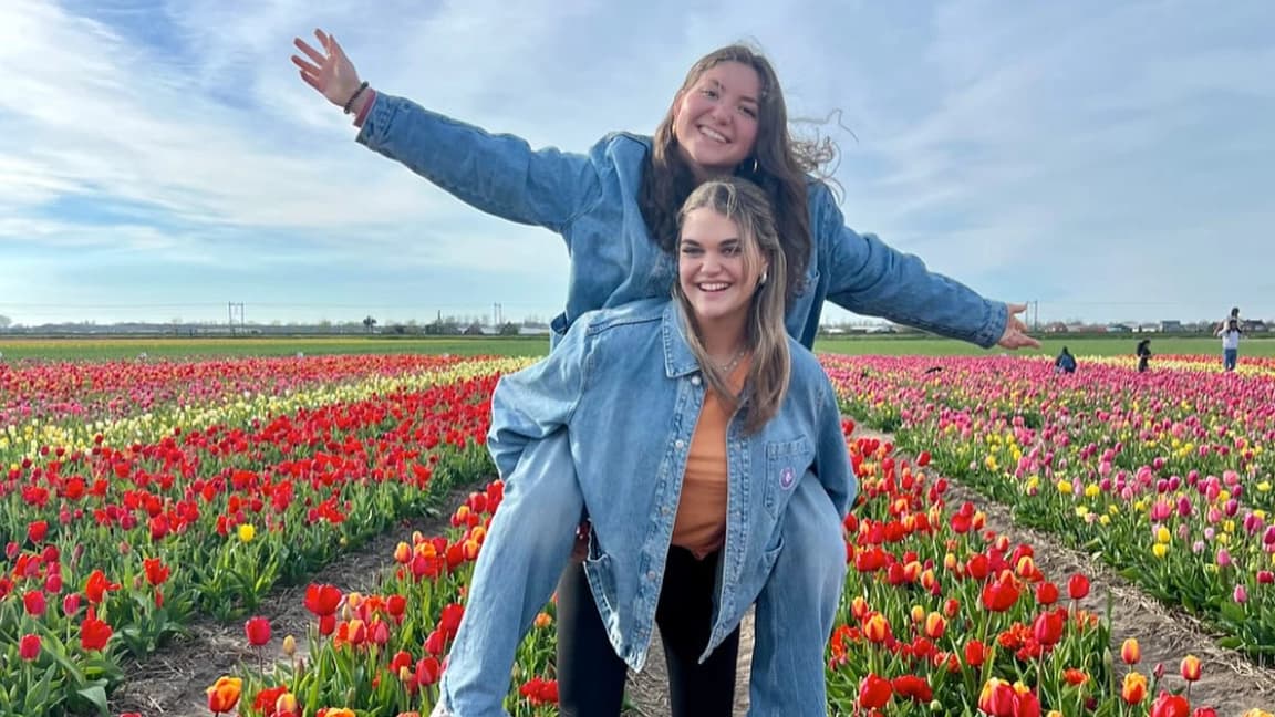 The Tulip Barn in Hillegom