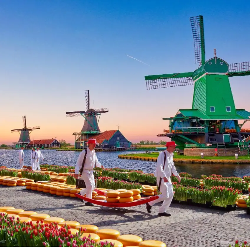 men walking with wheels of cheese