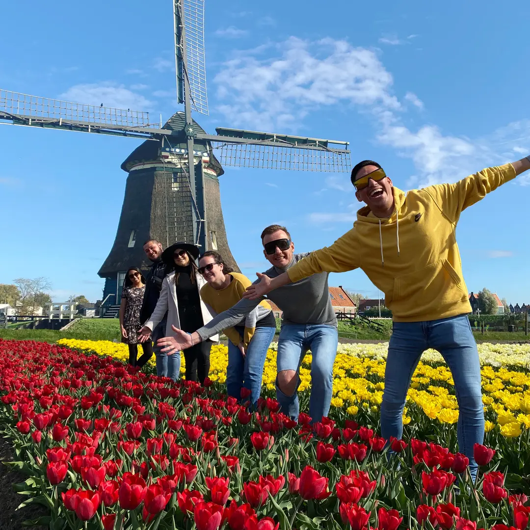 Tourists walking through colorful tulip fields near Amsterdam