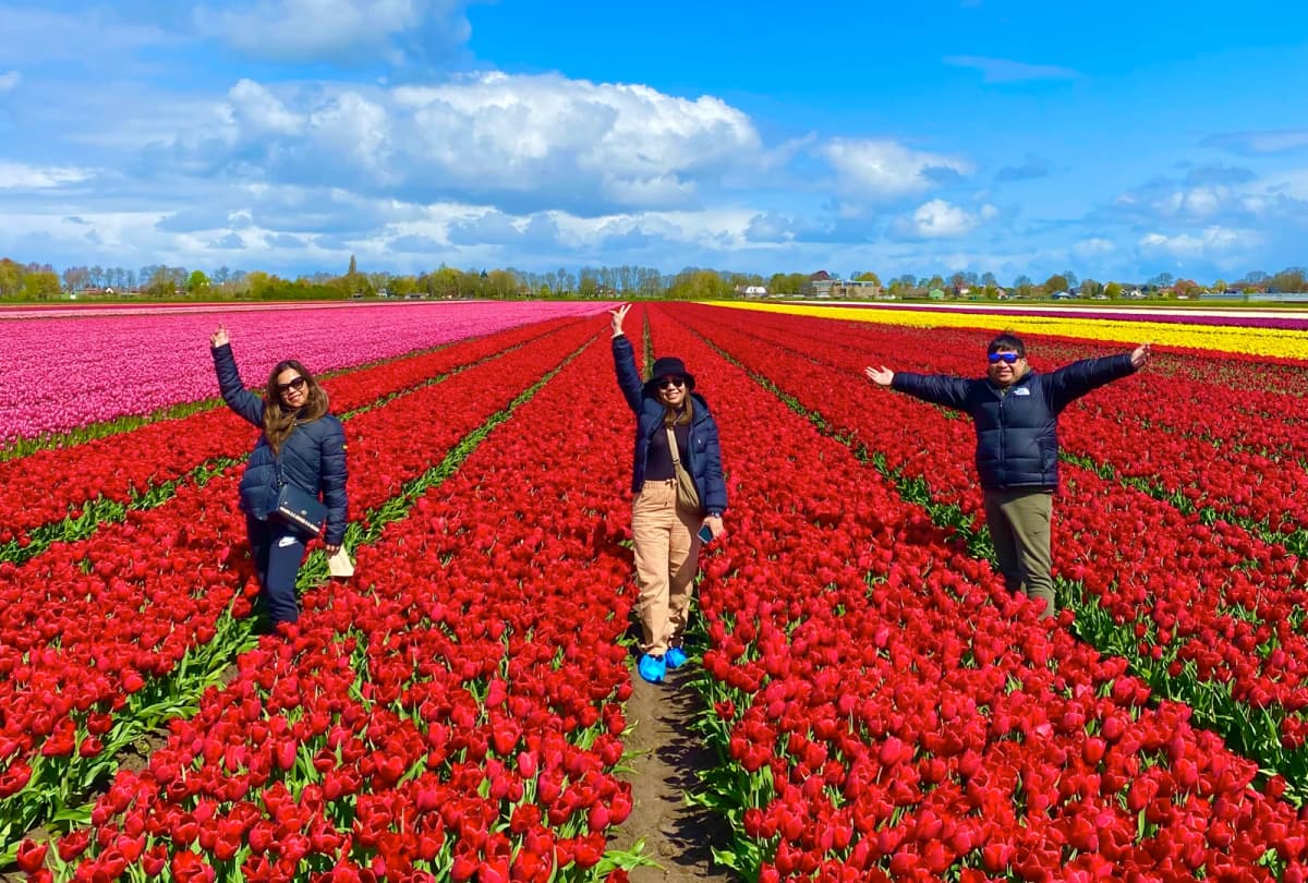 Group of cyclists on a guided tulip tour