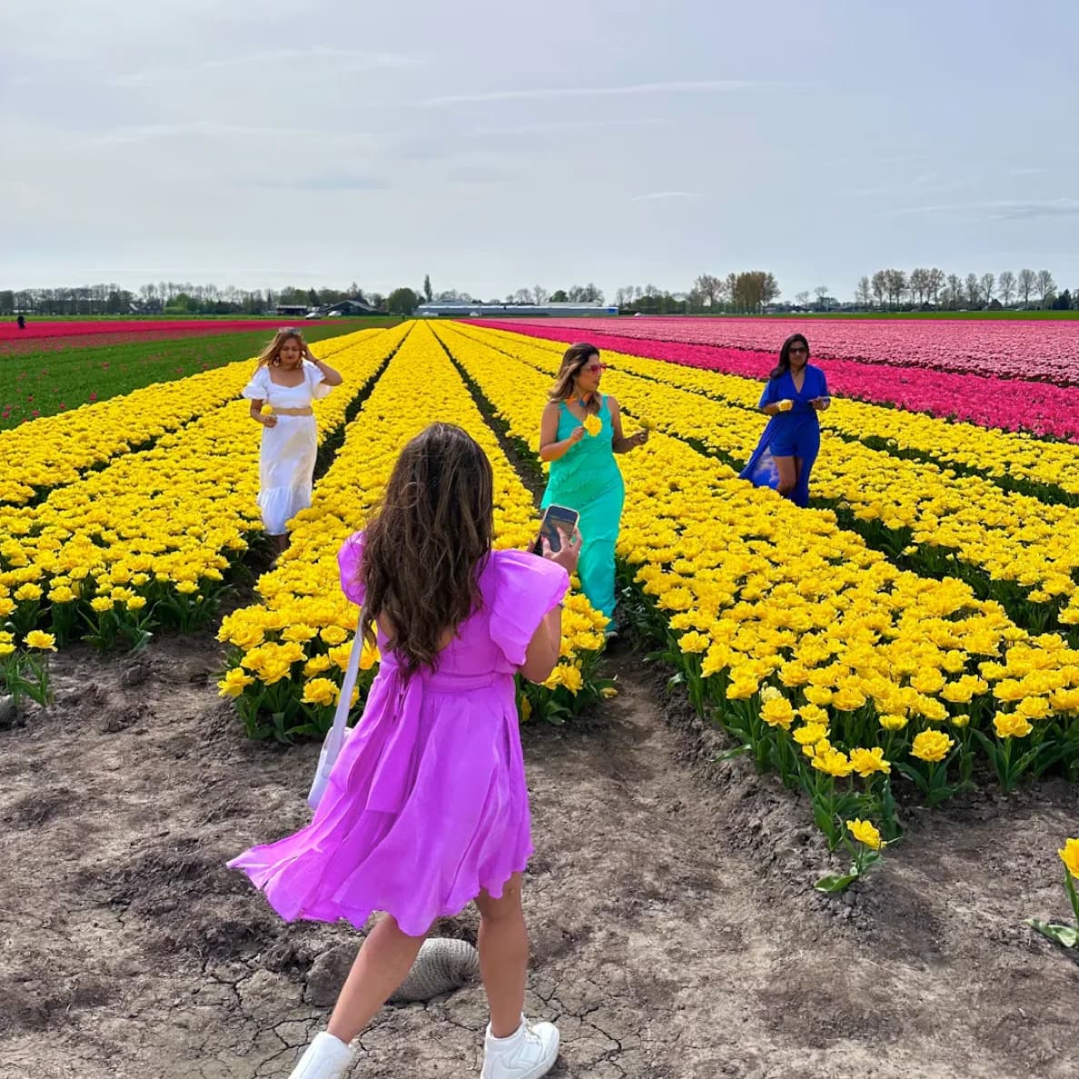 Tourists enjoying tulip fields