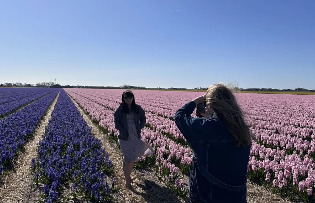 Purple and blue hyacinth fields