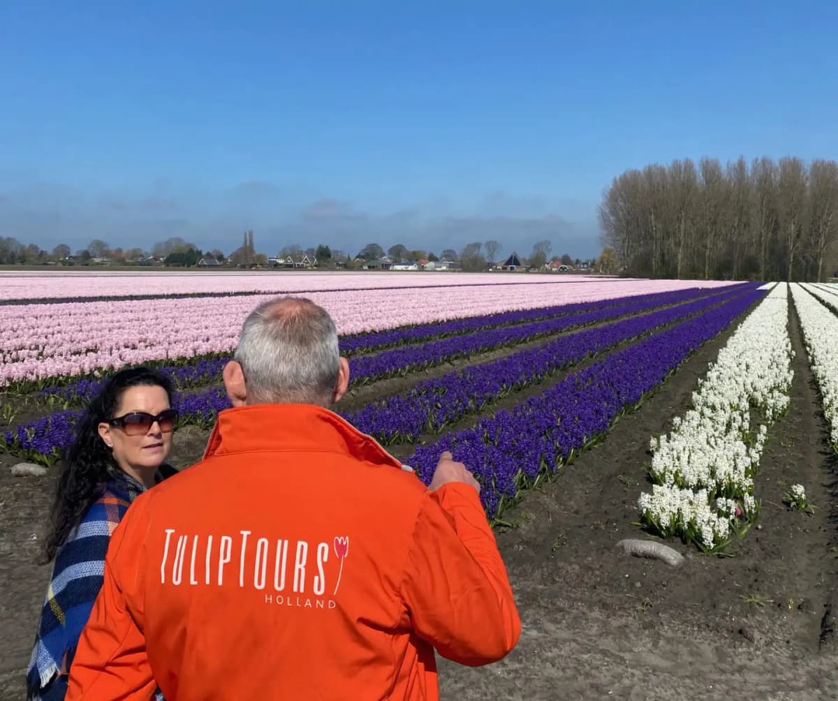 Tulip Tours Holland tour guide explaining in flower field