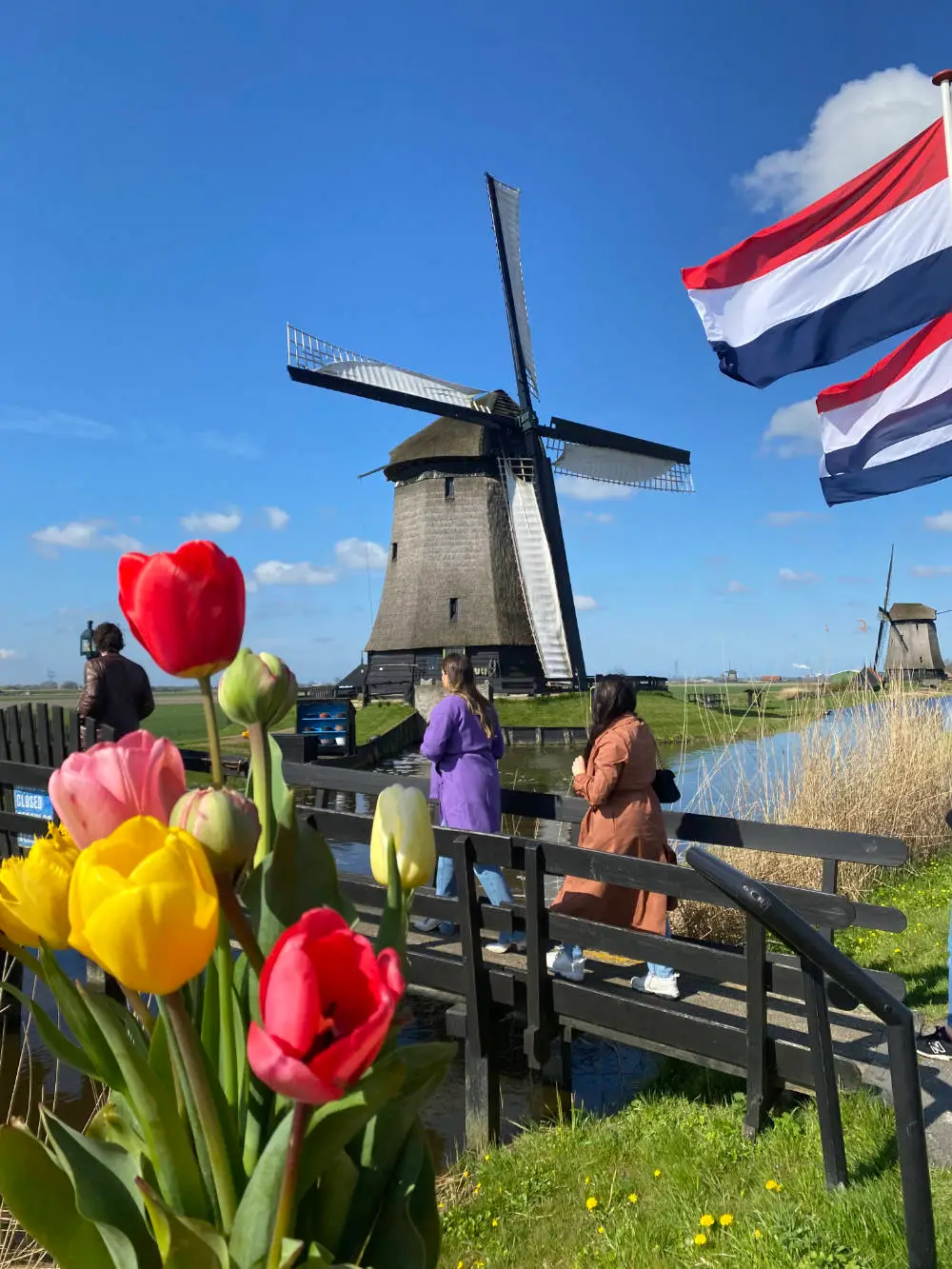 Historic windmill in Schermerhorn polder