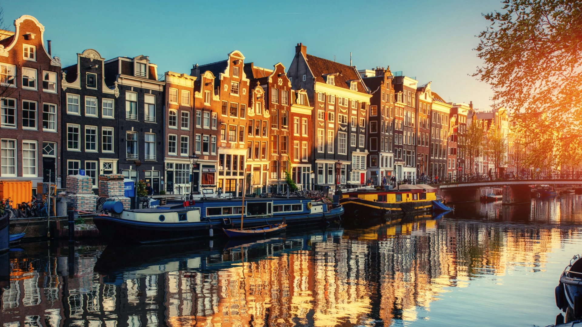 Amsterdam Tours & Experiences