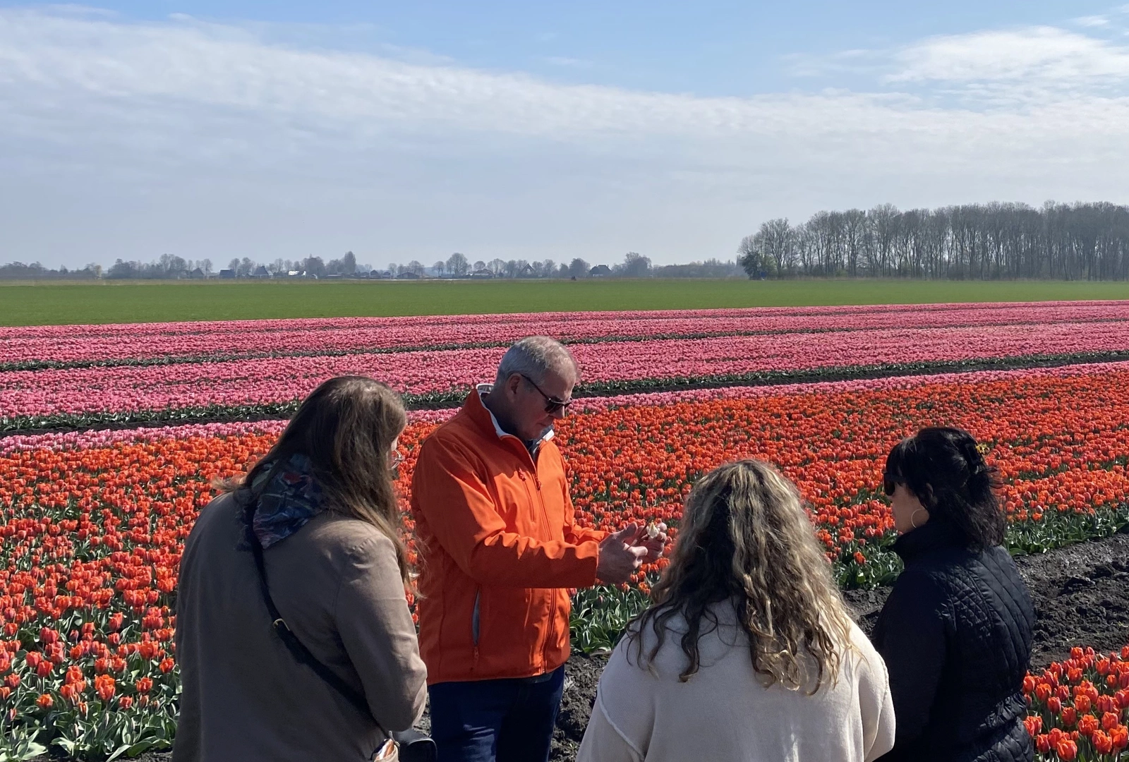 Best day trips from Amsterdam